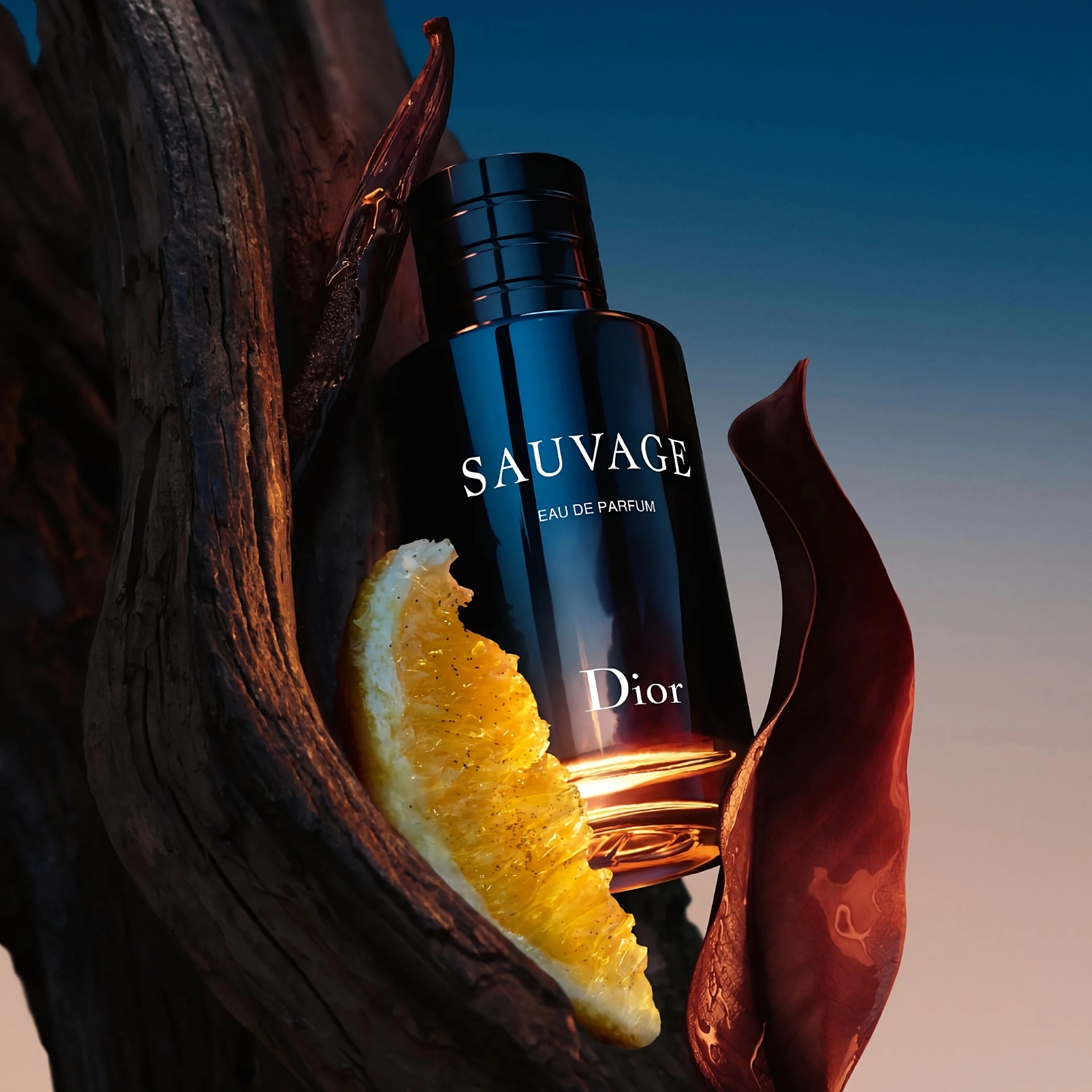 Dior Sauvage (On-The-Go)