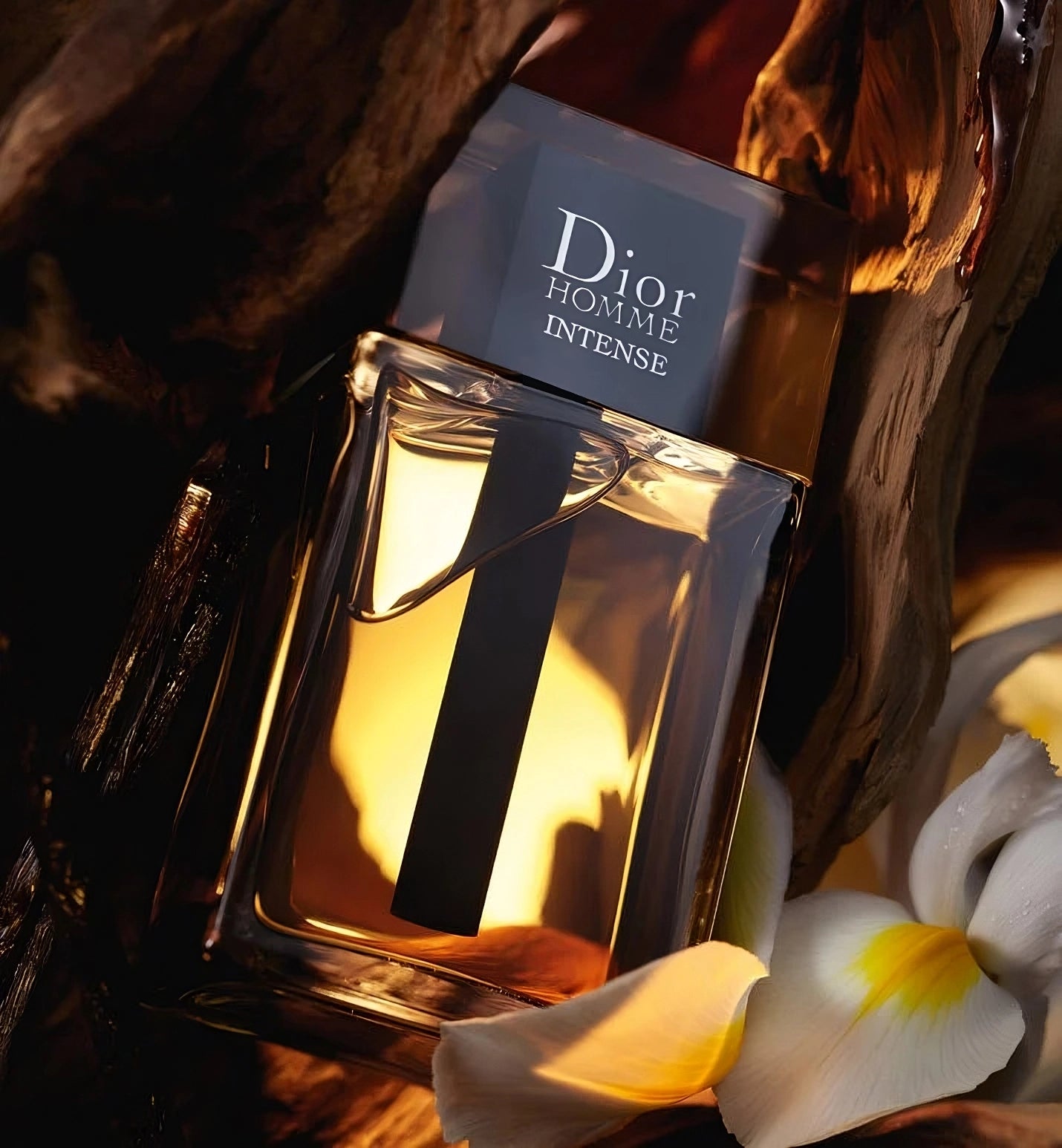 Dior Homme Intense Refillables Lush Fragrances